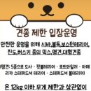 퍼피타운커피 이미지