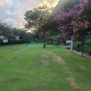 월라봉파크골프장 이미지