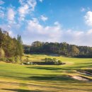 웰링턴컨트리클럽 이미지