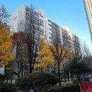 중흥마을 극동아파트 (극동,두산) 이미지