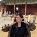 종로-종로-종로-종-161 이미지