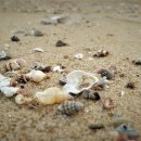 호텔휴로프트 이미지