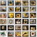 힐링 플라워테라피 이미지