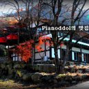 금수레 - 창원시 마산회원구 | 금수레