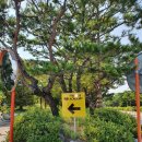 관동스크린골프 | 프렌즈아카데미 신안산대학교점 방문후기