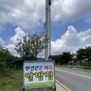 부산 금정구 숨은 맛집 한결같은마음 돌솥알밥 추천해요