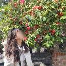 하이츠 야외수영장 | 2박 3일 부산 여행 #2 (해동용궁사/해운대블루라인파크 미포/옥이보리밥/흰여울문화마을/해운대밤바다)