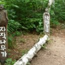 인제13-1 이미지