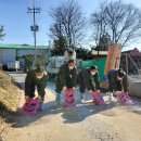 이중호농장 이미지