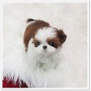 논현고잔동-3 이미지