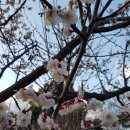 걸매생태공원 이미지