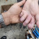 사명의수족 네이버블로그