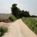 여주-1121 이미지