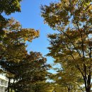 동삼2동-1 이미지