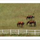 원당공원 이미지