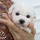 수원-0258 이미지