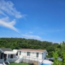 플레이하운드 이미지