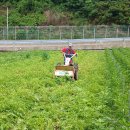 춘양농기계임대사업소 이미지