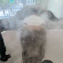 월드컵로 | 망원동 헤어스파 잘하는 미용실 추천 효과좋은 클리닉 전문 고객님 실제리뷰와 후기