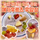 용산 후암 숙대 컵과일 과일도시락 메가후르츠 후암점 후기