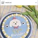 멍냥잡화점 이미지