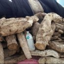 고향건강원 이미지