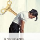 홍삼나라 네이버블로그