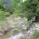 대티골계곡 이미지