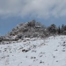 다운목장 이미지