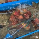 임포주차장화장실 | 고성횟집 임포수달 가진항 자연산 회맛집 애견동반가능 내돈내산