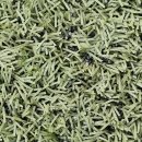 가평행복구장 이미지