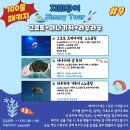 사이판 별빛 투어ㅡ지미투어에서 인생샷 남긴 후기ㅡ가격,꿀팁,업체정보,시간 총정리ㅣ내돈내산