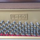 제일그린 이미지