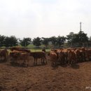 웃소농장 이미지