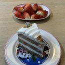 낙타(NAKTA) 이미지