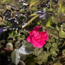 은진축산 이미지