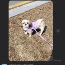 이룸독트레이닝 이미지