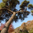 천관산도립공원관리사무소 | 천관산 도립공원