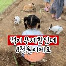 시흥농장 - 성남시 수정구 여수대로72번길 8 | 시흥 아이와 가볼만한 곳 | 먹이주기 무제한에 입장료 8천원, 온동물체험농장 솔직 후기