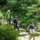 우면산둘레길 (35 매화산악회 정기산행 - 2023. 8. 15) 이미지