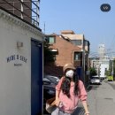 하이드앤식