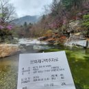 물결그림 Daum카페