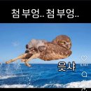 숯골 그집 쭈꾸미 이미지