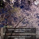 호암가든 이미지