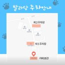 댕고카 | 인천 수영장 애견 카페 발라당 몸무게 제한 없는 대형견 내돈내산