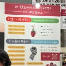 한국편물디자인협회