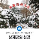 1월 27일(금) 1004의 섬 신안/새천년대교-자은도 무한의다리 /애기동백꽃 축제.♡35,000원.조중식(찰밥).37석리무진운행 이미지