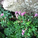 세상을 보는 창 포토뉴스 (07/09/05) 이미지