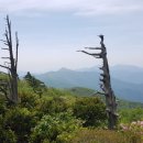 세종행정사사무소 이미지