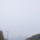 안곡농장 이미지